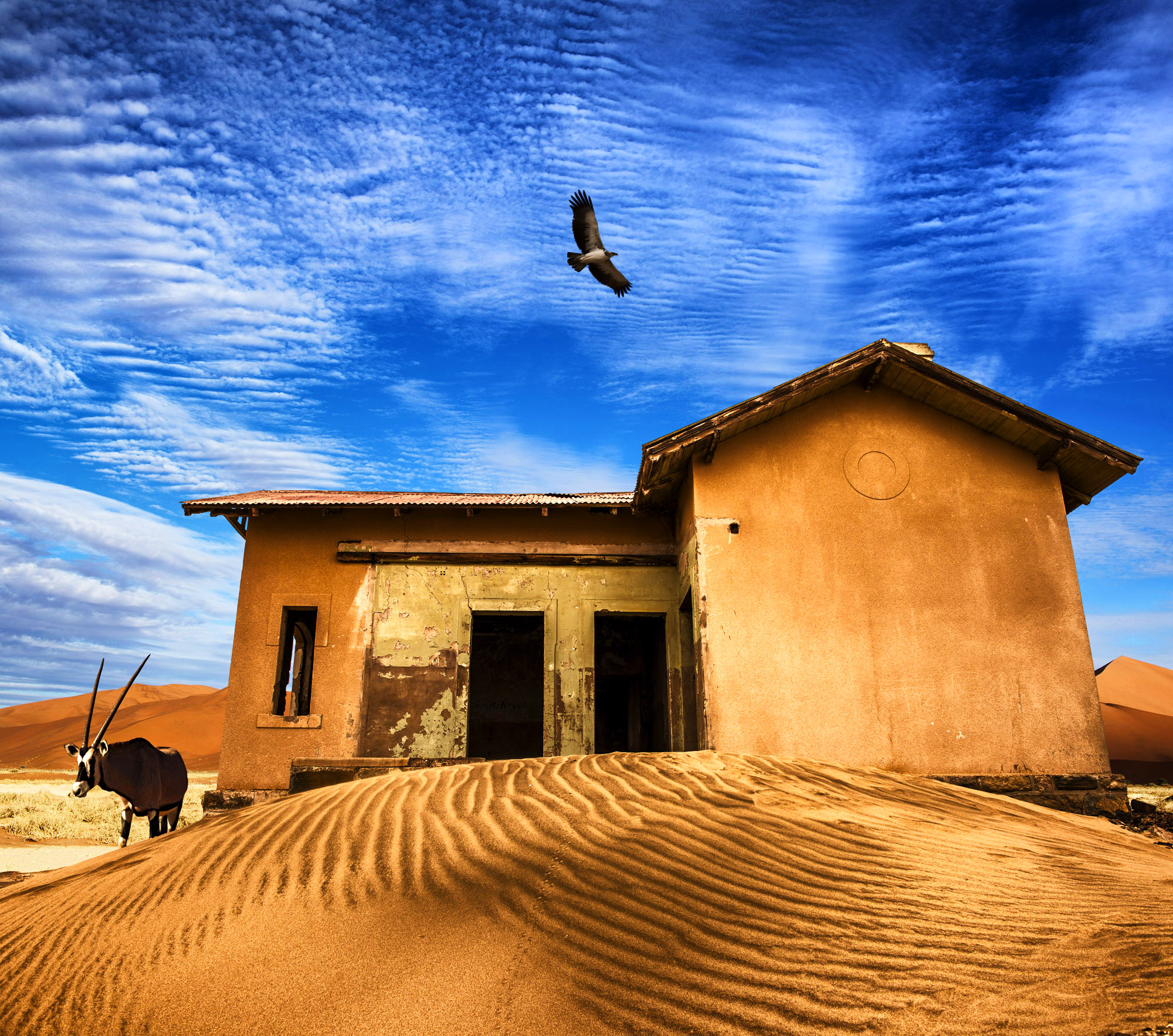 Photographic prints for sale